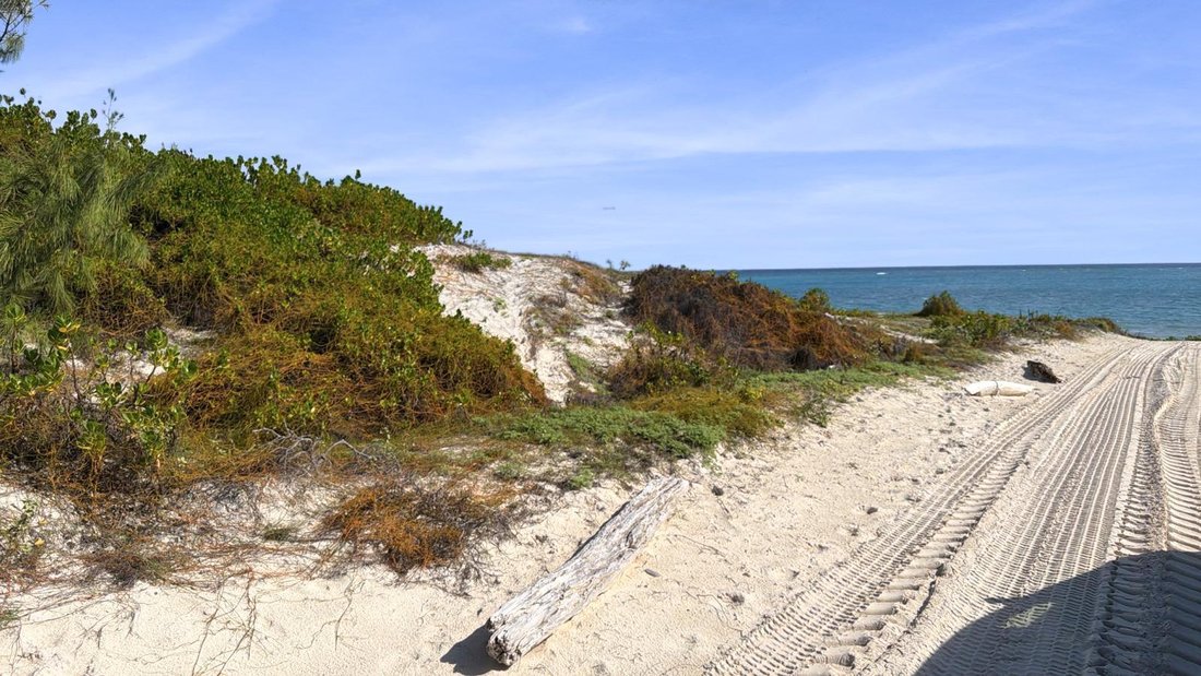 Terrain en Cockburn Harbour, Caicos Islands, Îles Turks et Caïques 4 - 15043587