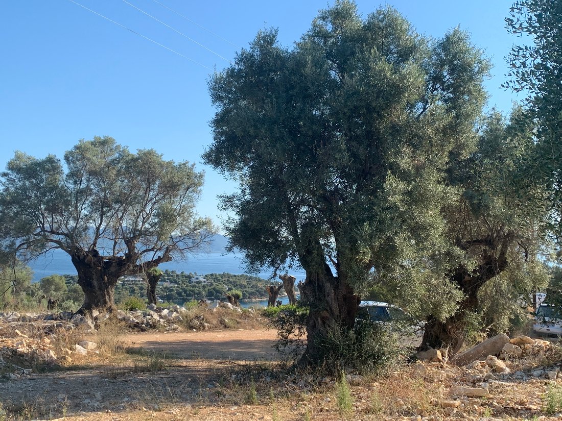 Exclusive Panoramic Sea View Land In Meganissi Above In Meganisi ...