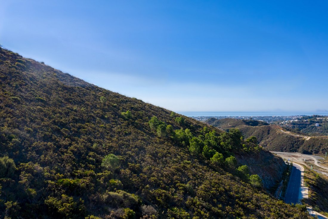 Land in La Quinta, Benahavis, Andalusia 5 - 15039048