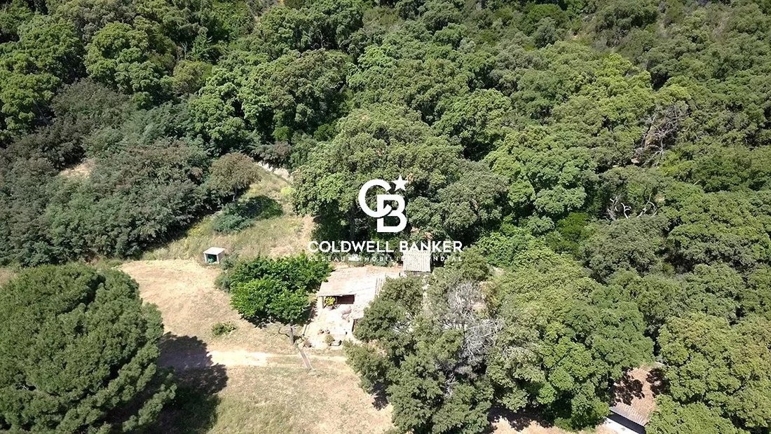 House in Sud, Cavalaire-sur-Mer, France 5 - 15036260