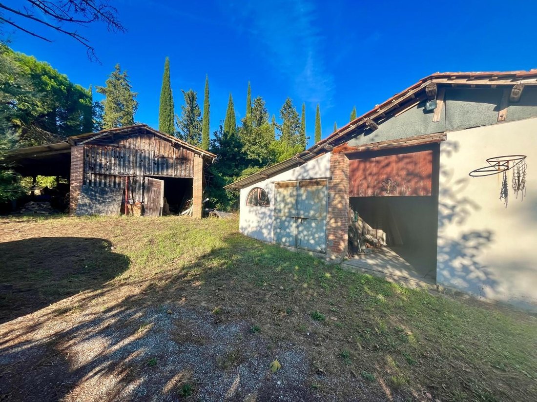 Farm Ranch in Palaia, Tuscany, Italy 5 - 15037008