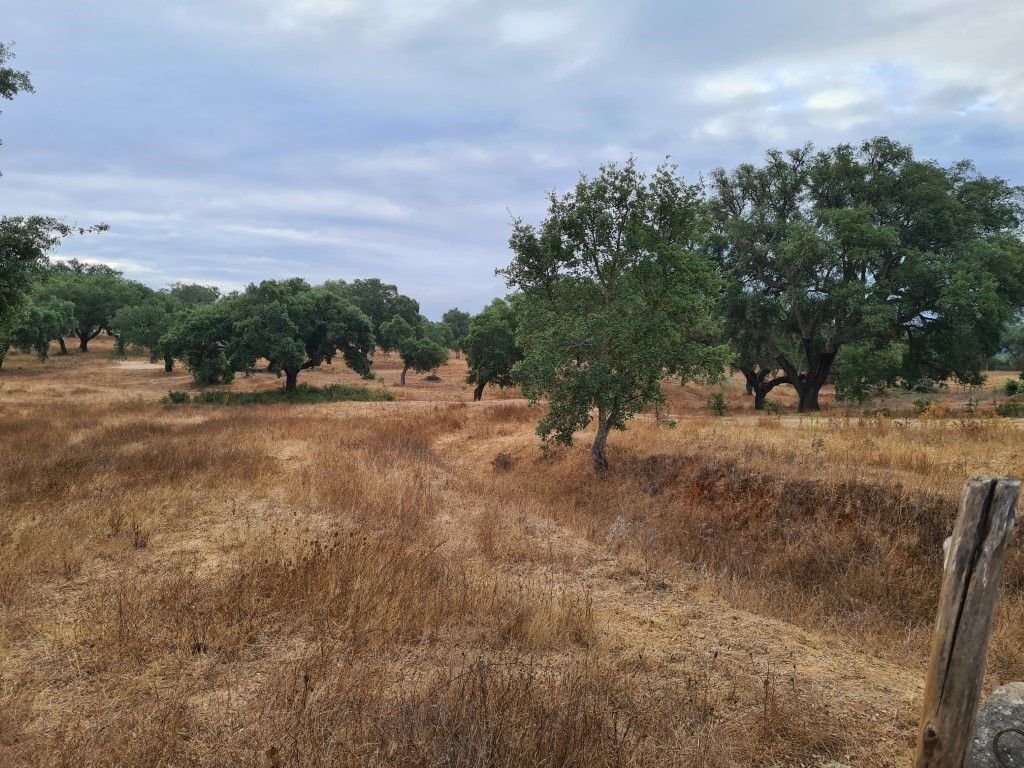 Land in Vendas Novas, Évora District, Portugal 2 - 15042972