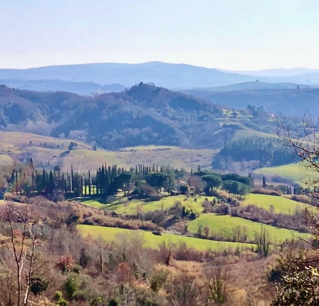 Farm Ranch in Palaia, Tuscany, Italy 1 - 15037008