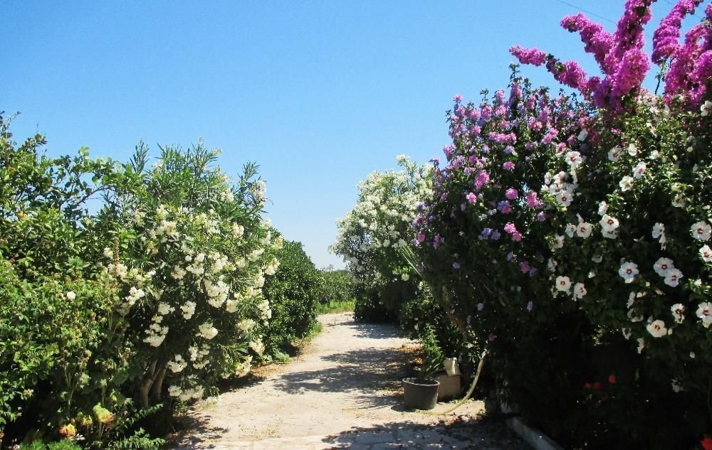 Villa in Poceirao e Marateca, Setubal, Portugal 5 - 15042952