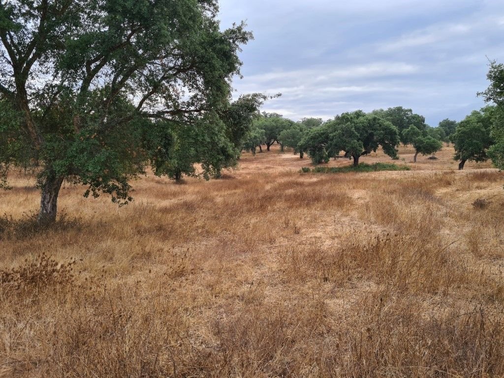 Land in Vendas Novas, Évora District, Portugal 1 - 15042972