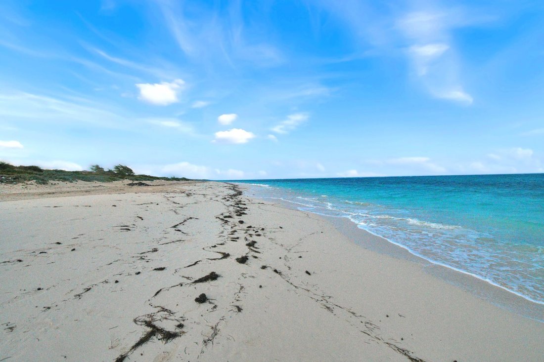 Terrain en Cockburn Harbour, Caicos Islands, Îles Turks et Caïques 2 - 15043587