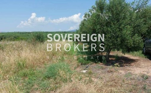 Land in Polygyros, Macedonia and Thrace, Greece 1