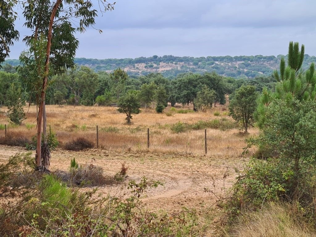 Land in Vendas Novas, Évora District, Portugal 3 - 15042972