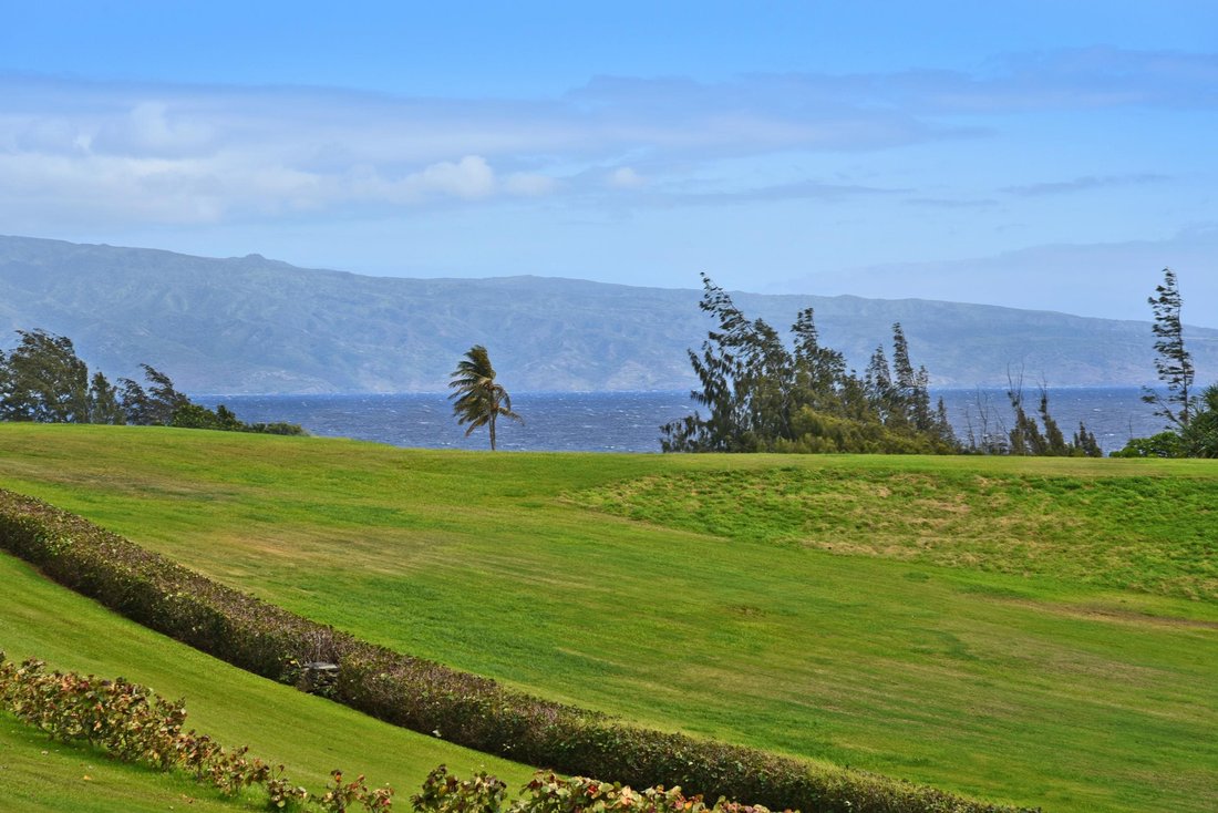 Condo in Lahaina, Hawaii, United States 3 - 15042865