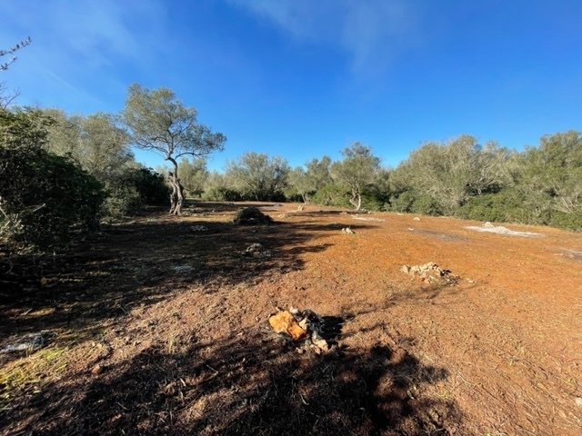 Felanitx, Balearic Islands, Spain 3 - 15037141