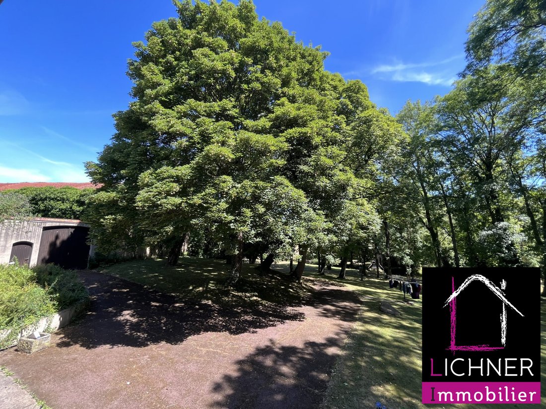 House in Faulquemont, Grand Est, France 5 - 15042756