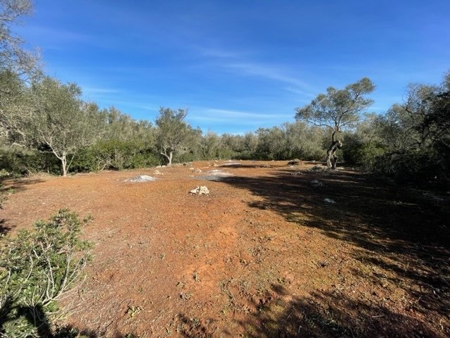Felanitx, Balearic Islands, Spain 2 - 15037141