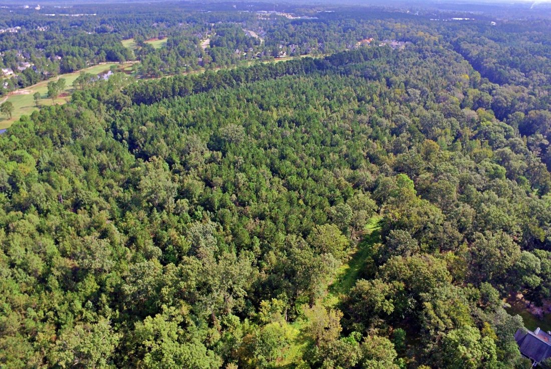 Land in Summerville, South Carolina, United States 4 - 15042567