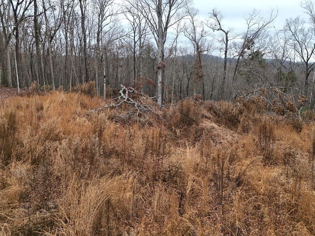 Land in Blue Ridge, Georgia, United States 5 - 15041527