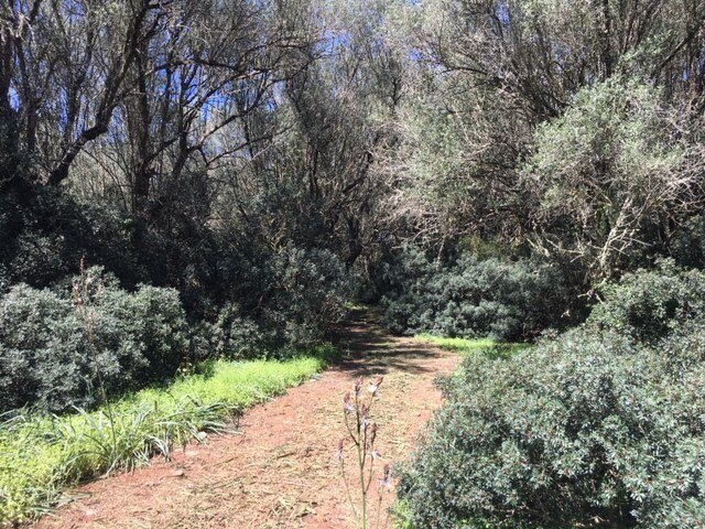 Felanitx, Balearic Islands, Spain 5 - 15037141