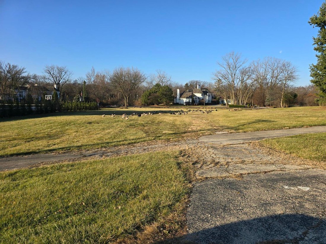 Land in Oak Brook, Illinois, United States 3 - 15050887