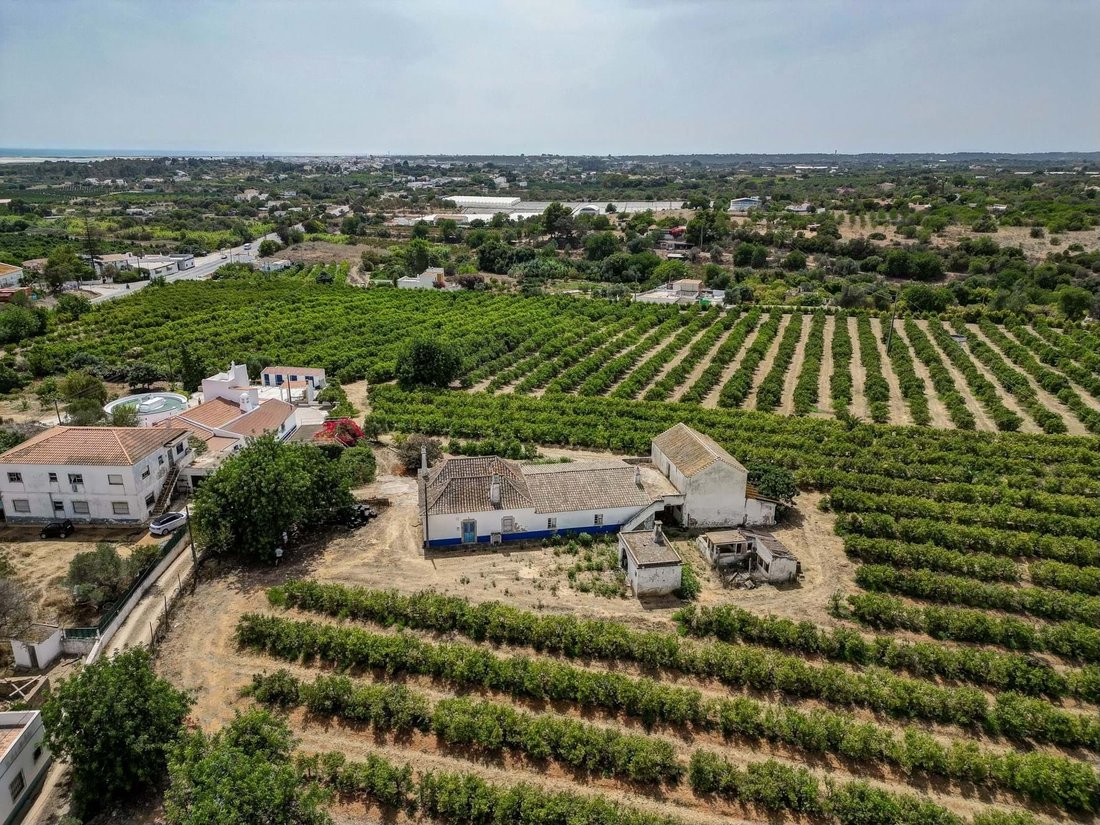 Farm Ranch in Luz de Tavira e Santo Estevao, Algarve, Portugal 2 - 15058949