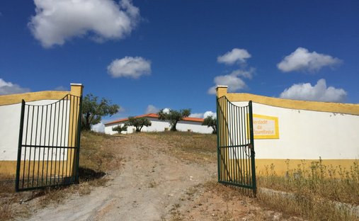 Farm Ranch in Povoa de Sao Miguel, Beja District, Portugal 1