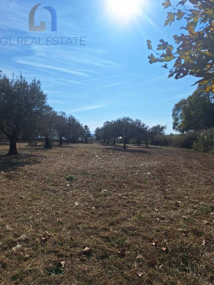 Land in Aristotle, Macedonia and Thrace, Greece 2 - 15045741