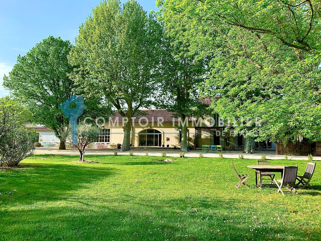 Provençal Dream: A Sunlit Castle Amidst Lavender & Olive Groves - 5