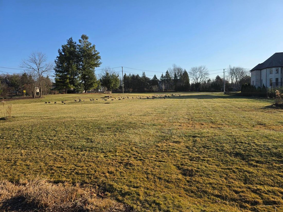 Land in Oak Brook, Illinois, United States 1 - 15050887