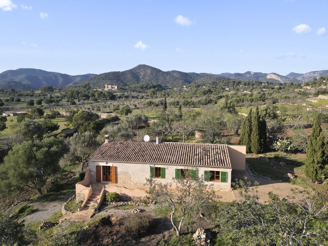 Haus in Alaró, Balearische Inseln, Spanien 3 - 15060535