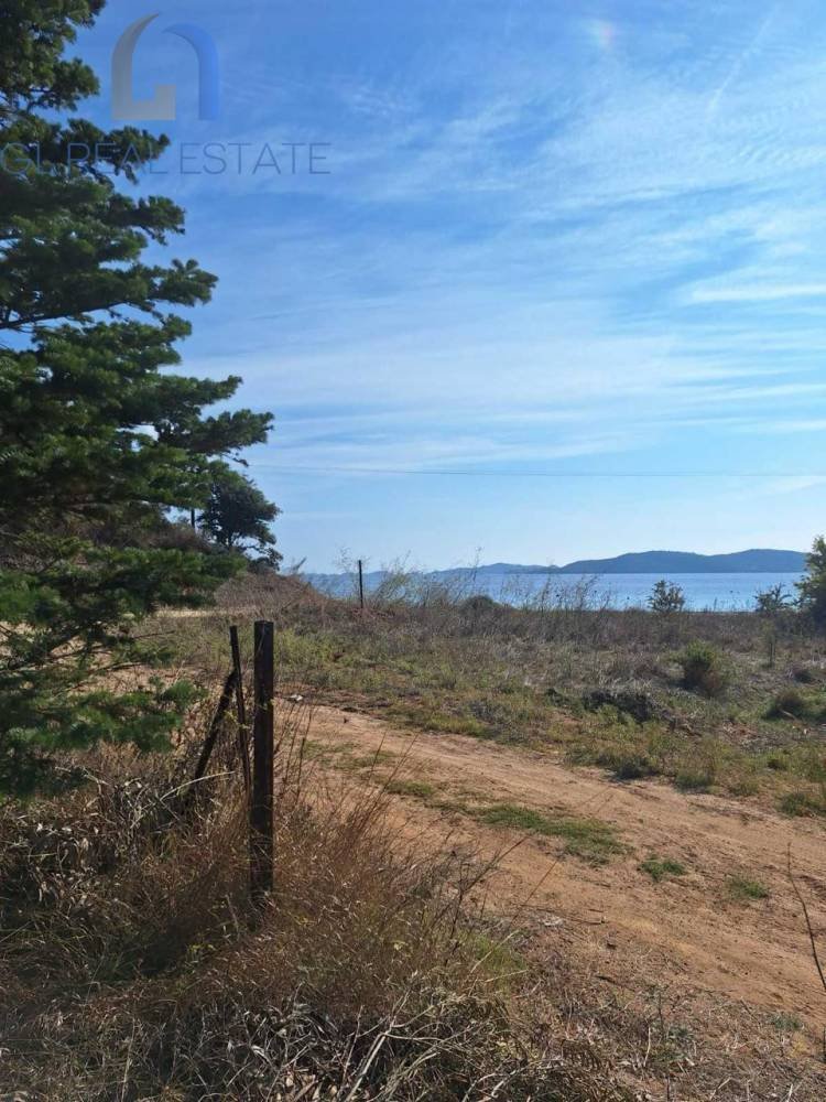 Land in Aristotle, Macedonia and Thrace, Greece 1 - 15045741