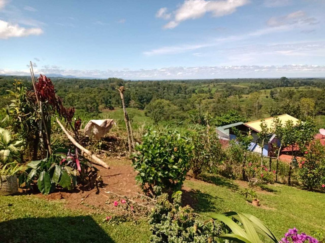 House in San Carlos, San Carlos, Costa Rica 5 - 15051421