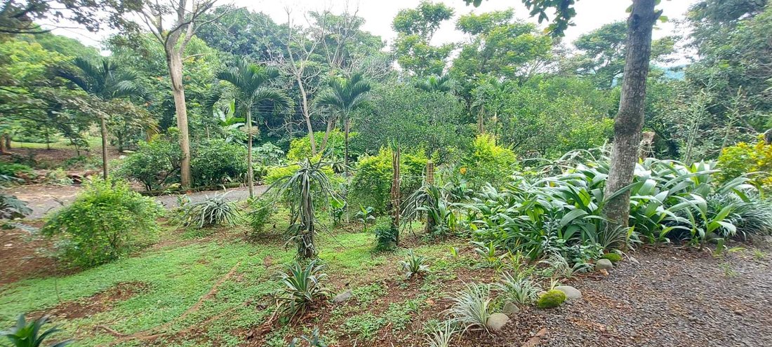 House in Naranjo de Alajuela, Alajuela Province, Costa Rica 3 - 15051105