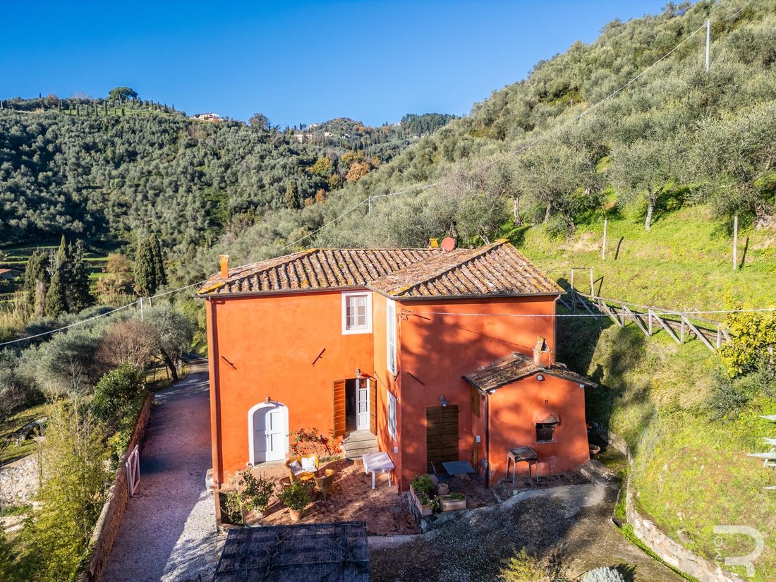 Villa in Massarosa, Tuscany, Italy 1 - 15055890