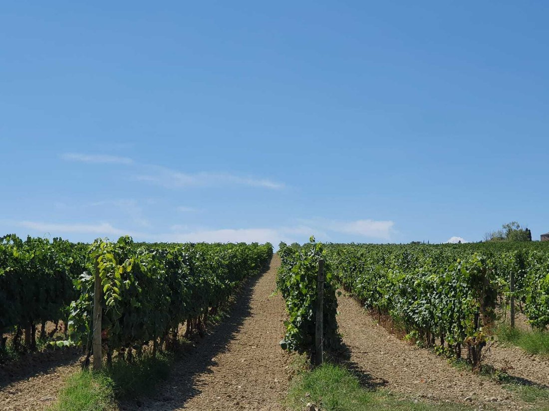 Land in Montepulciano, Tuscany, Italy 2 - 15058775