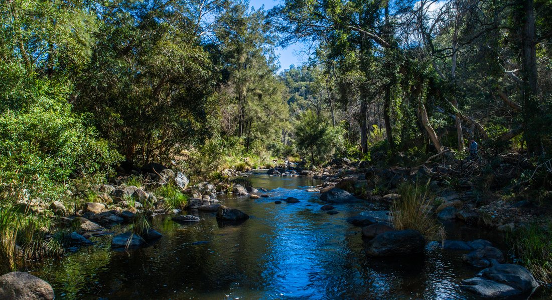 Farm Ranch in Willsons Downfall, New South Wales, Australia 2 - 15066105