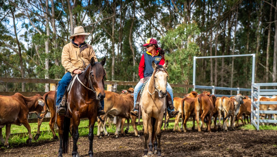 Farm Ranch in Willsons Downfall, New South Wales, Australia 4 - 15066105
