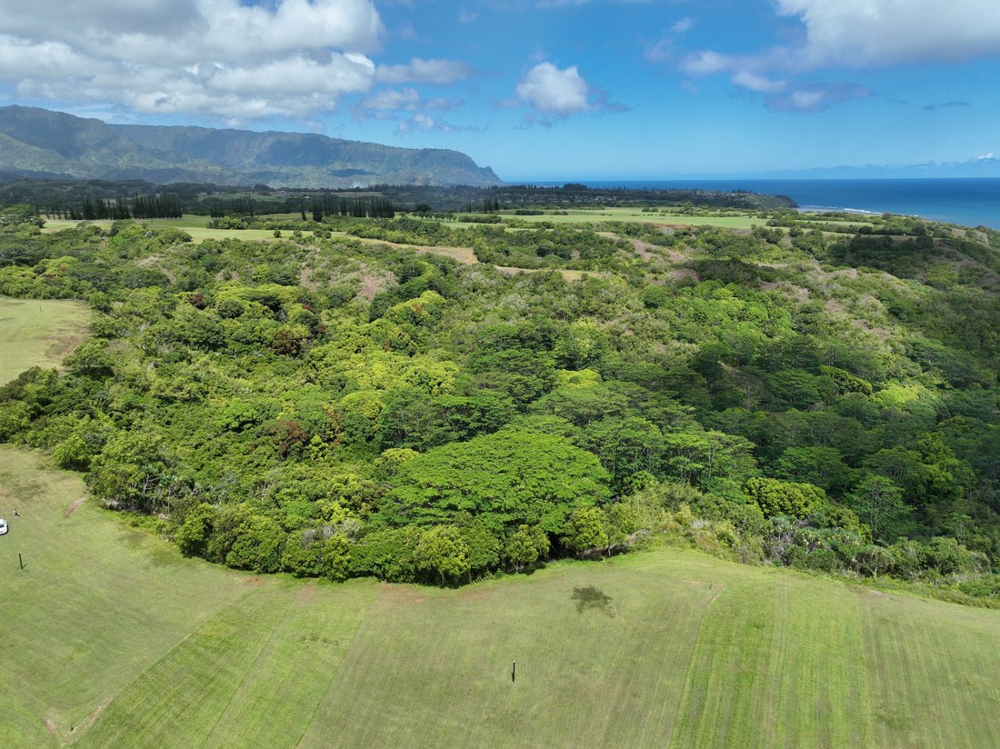 Land in Kilauea, Hawaii, United States 5 - 15065682