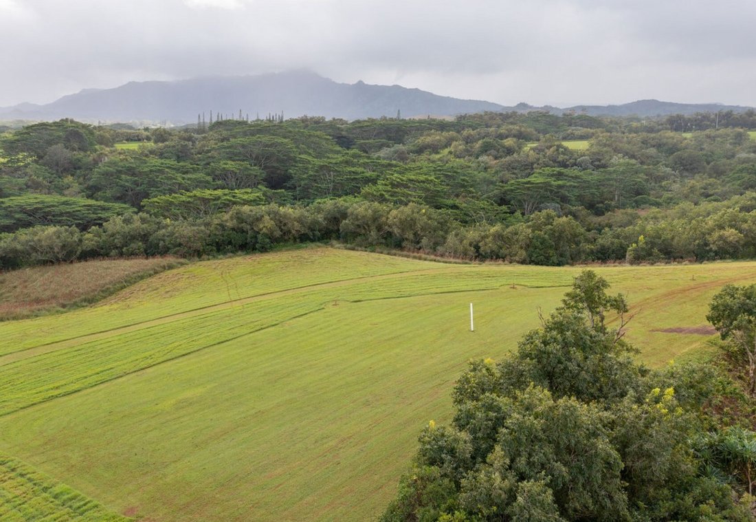 Land in Kilauea, Hawaii, United States 4 - 15065682
