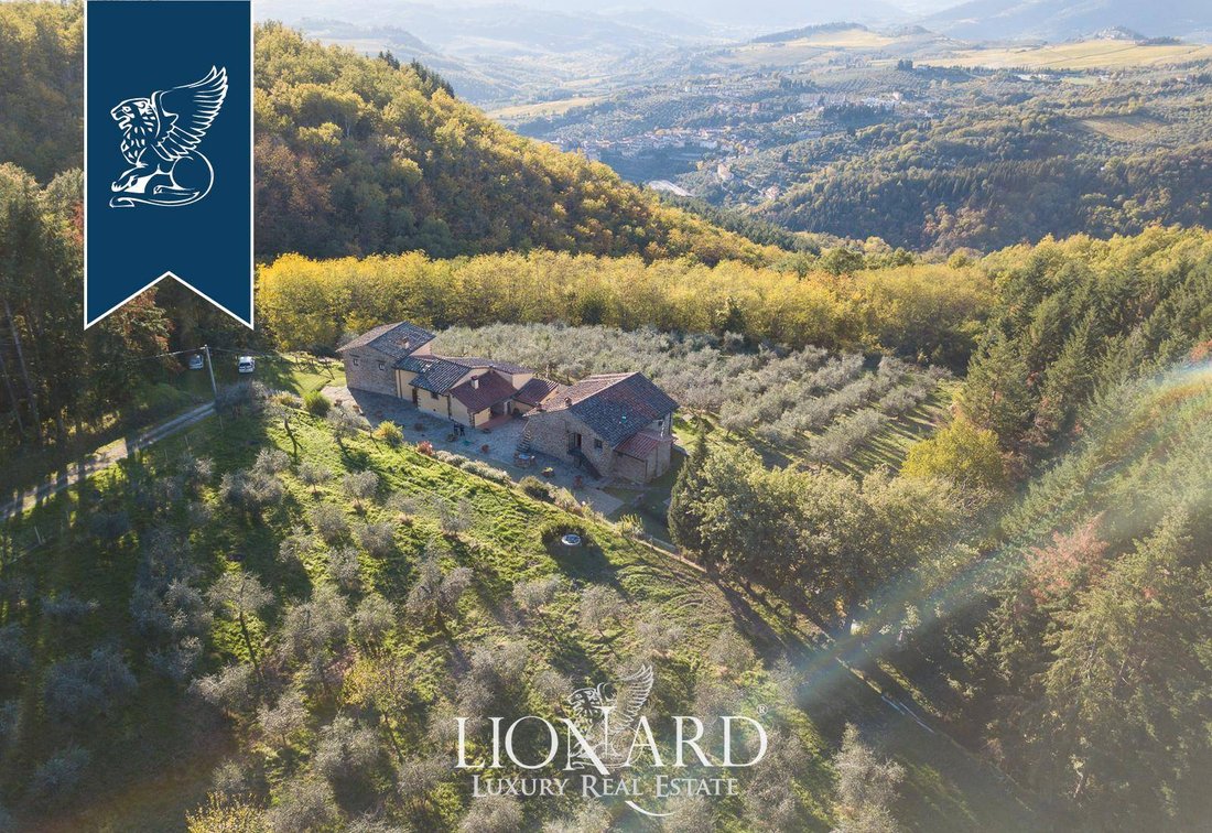 Villa in Pelago, Tuscany, Italy 4 - 10919264