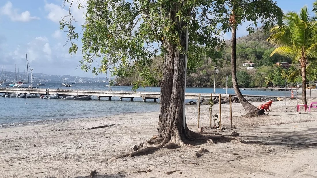 Villa in Les Trois-Îlets, Le Marin, Martinique 2 - 15064616