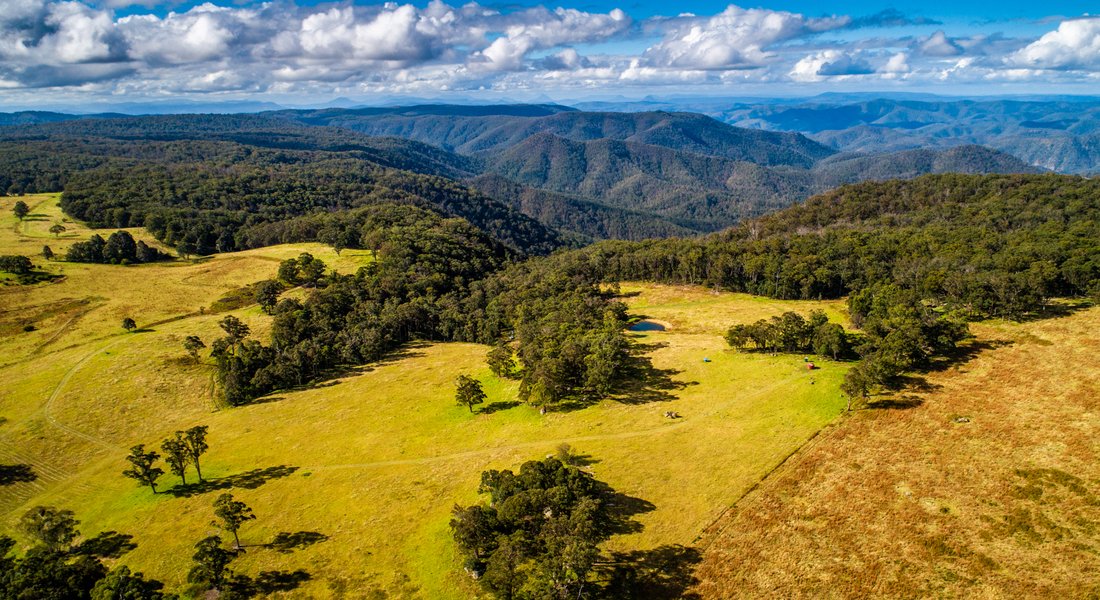 Farm Ranch in Willsons Downfall, New South Wales, Australia 5 - 15066105