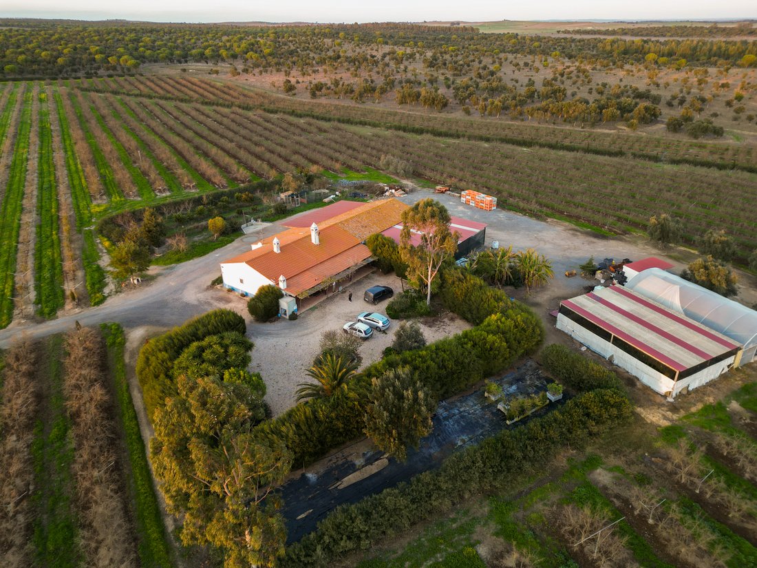 Farm Ranch in Messejana, Beja District, Portugal 1 - 15064136