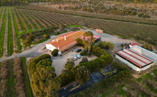 Farm Ranch in Messejana, Beja, Portugal 1