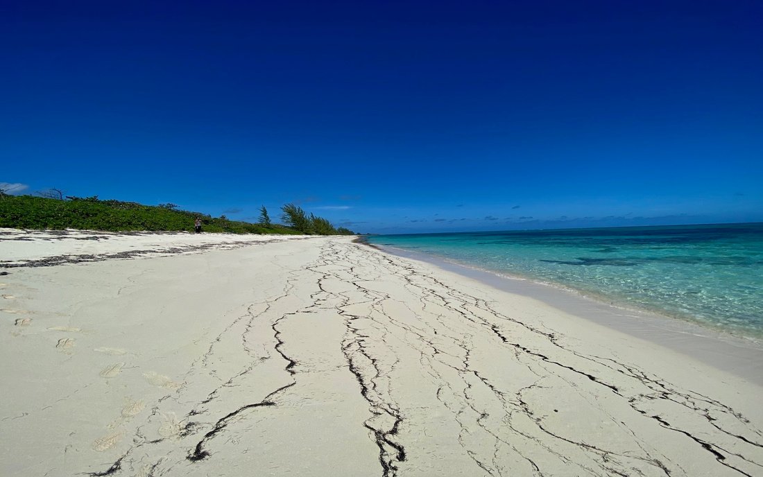 Land in Old Bight Settlement, Cat Island, The Bahamas 5 - 15067643