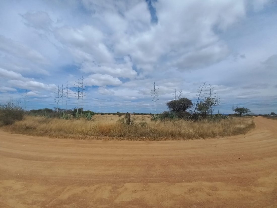 Farm Ranch in Seshego-A, Limpopo, South Africa 5 - 15068694