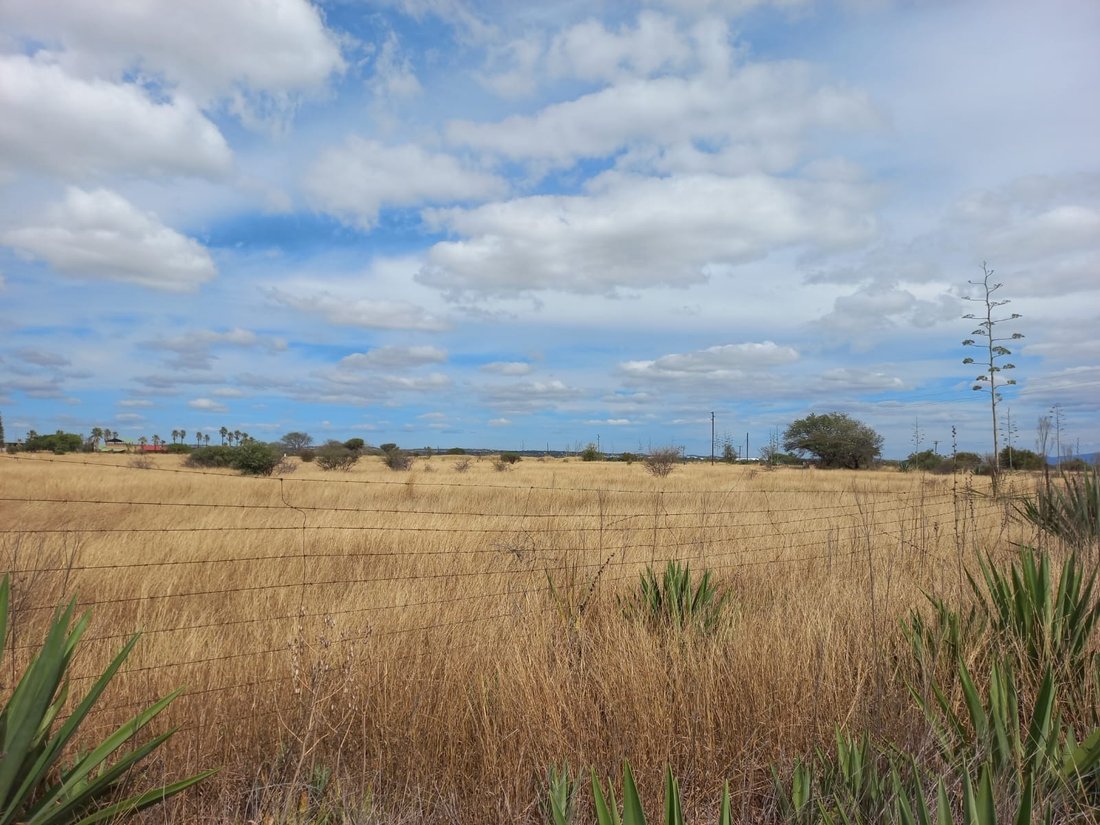 Corps de ferme à Doornbult, Limpopo, Afrique du Sud 4 - 15068694