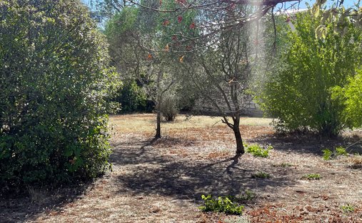 Land in Uzès, Occitanie, France 1