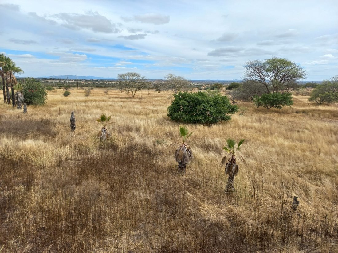Farm Ranch in Seshego-A, Limpopo, South Africa 1 - 15068694