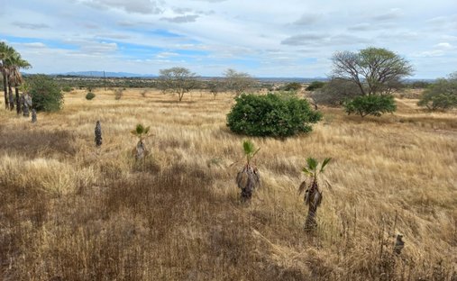 Farm Ranch in Polokwane, Limpopo, Südafrika 1