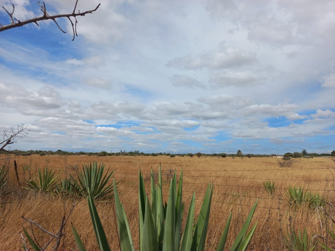 Corps de ferme à Doornbult, Limpopo, Afrique du Sud 5 - 15068694