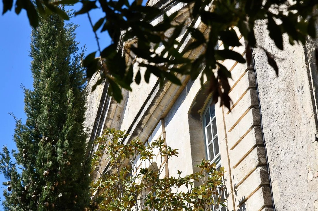 Castle in Arrondissement of Nimes, Occitania, France 2 - 15067453