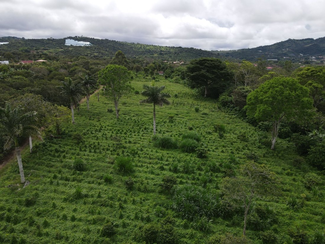 Land in Naranjo de Alajuela, Alajuela Province, Costa Rica 2 - 15070066