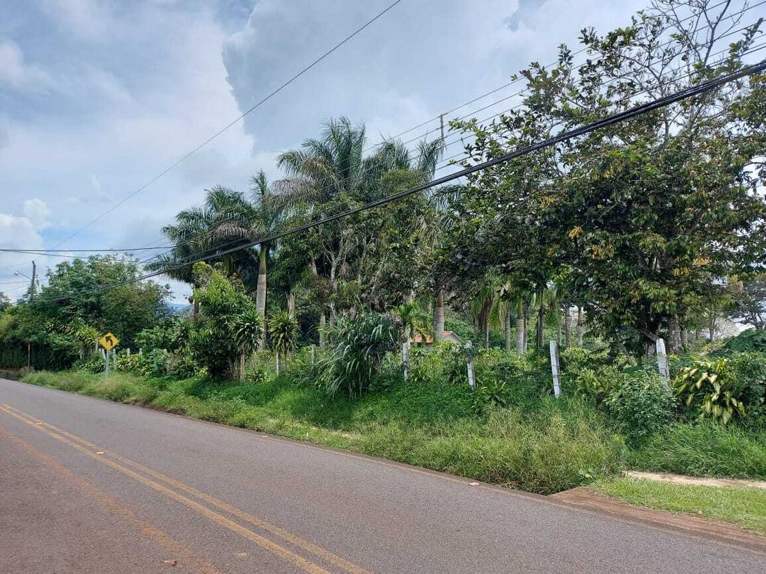 Land in Naranjo de Alajuela, Alajuela Province, Costa Rica 1 - 15070066